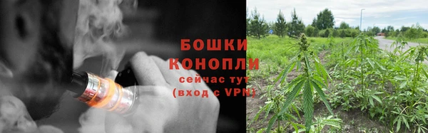 спайс Покачи